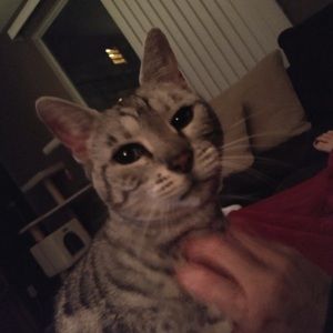 Meet your Posher, Nikole